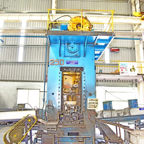 250T Forging Press
